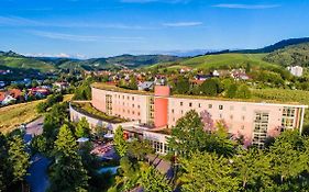 Dorint Hotel Durbach/Schwarzwald